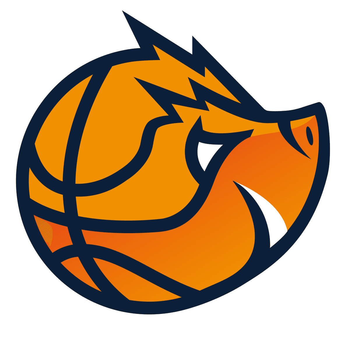 Akademia Młodych Dzików.